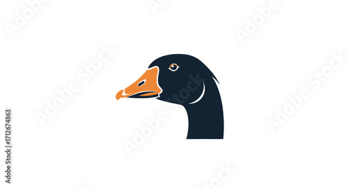 Close-up of a dark blue goose head with an orange beak.