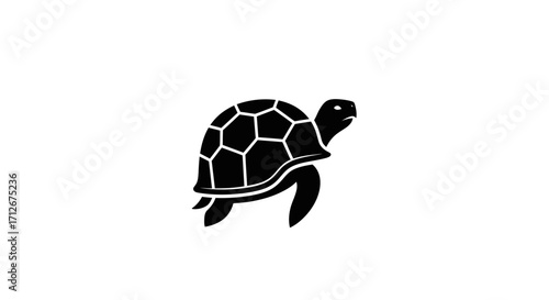 Black and white silhouette of a turtle with a patterned shell.