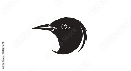 Black bird head silhouette with a sharp beak and bright eye.