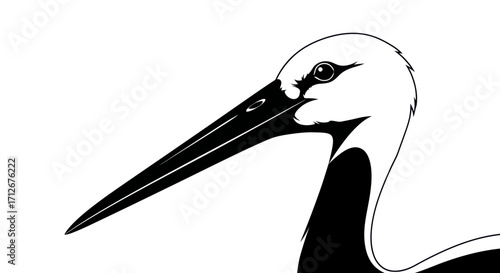 Close-up of a storks head and long beak in black and white.