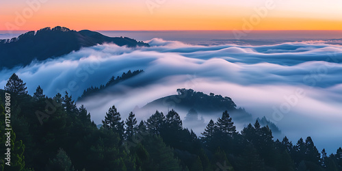 Breathtaking fog rolling over the mountain forest