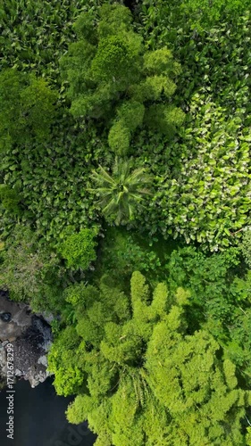 Luftaufnahme eines versteckten Wasserfalls im tropischen Wald Javas in Indonesien mit einer Drohne. Die Drohne fliegt auf den Wasserfall zu.