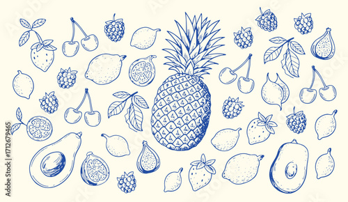 Minimalist hand drawn sketch fruits vector