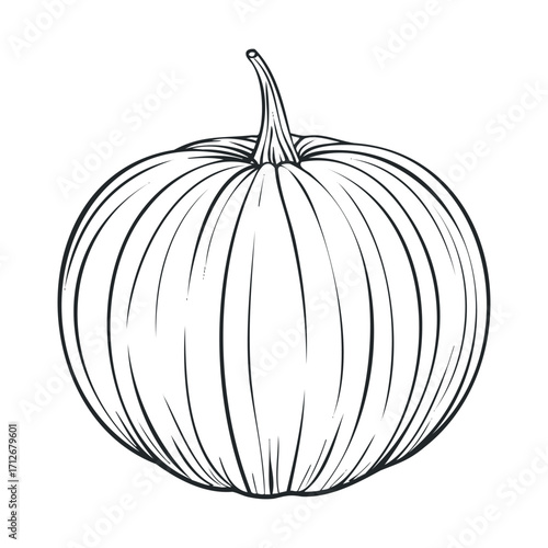 Detailed sketch of a pumpkin for autumn design and decoration
