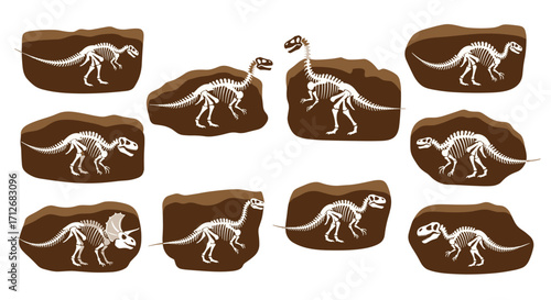 Collection of Dinosaur Skeletons Embedded in Rock Fossils.