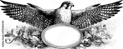Vintage illustration of falcon with ornate frame and banner design