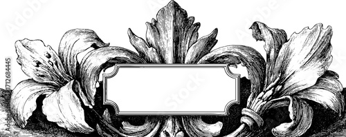 Elegant vintage banner with fleur de lis frame for decorative design
