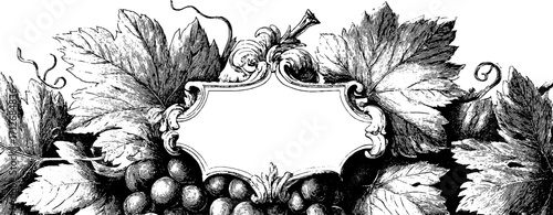Vintage grapevine frame illustration for banner design and decoration