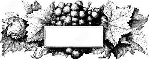Vintage grapevine frame banner design for label or poster