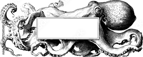 Vintage octopus frame illustration for labels and banners