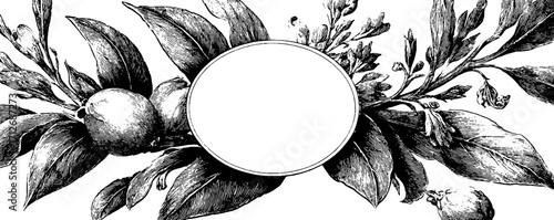 Vintage tea leaves frame illustration for elegant banner or label design
