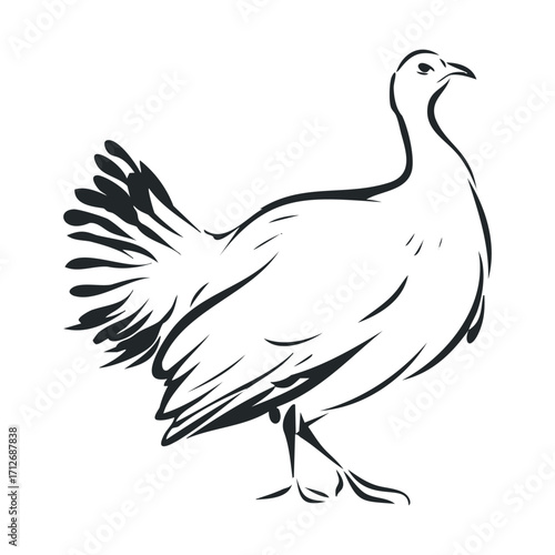 Elegant turkey illustration for seasonal designs and culinary themes. Vector hand drawn illustration