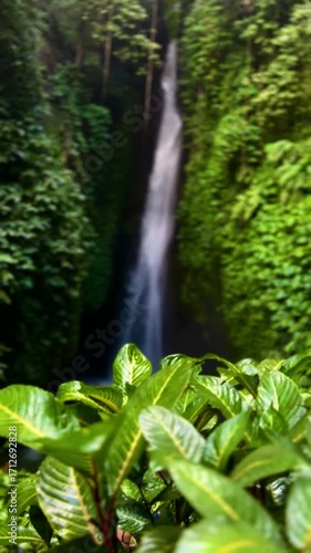 Amazing Leke-Leke waterfall near Ubud in Bali, Indonesia. Secret Bali jungle Waterfall