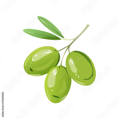 Three green olives on a branch with leaves isolated on transparent background