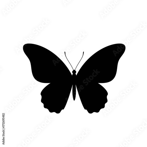 Silhouette of a black butterfly with detailed wing shapes and delicate antennae centered isolated on white background