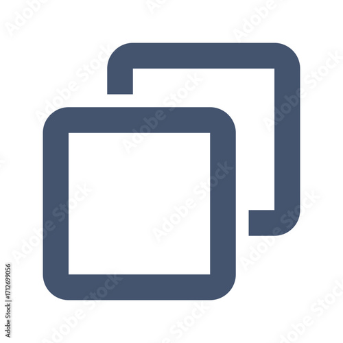 Copy icon