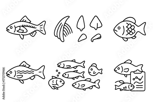 Marine Biology Icons. Line style icons of marine biology: fish anatomy, gill structure, fin types, lateral line, scale texture,