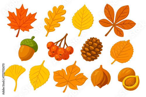 Vibrant Autumn Foliage Icons. Isometric vector illustration set of vibrant autumn nature: orange-red maple leaf, golden oak leaf,
