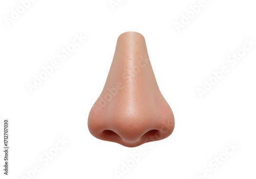 Isolated human nose frontal realistic anatomical organ face smelling breathing smelling