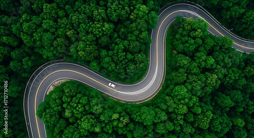 An aerial view of a winding road through a dense green forest