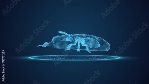 Termite pest scanning effect in HUD scan motion animation on dark blue screen for detecting problem solution