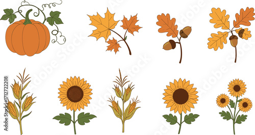 Autumn harvest illustration with pumpkin, maple leaves, acorns, corn, and sunflowers on transparent background