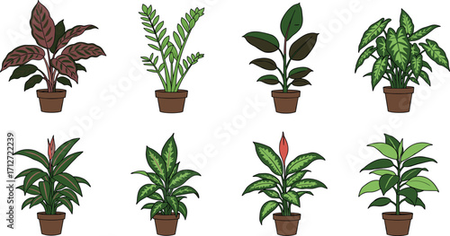 Collection of eight potted houseplants on transparent background