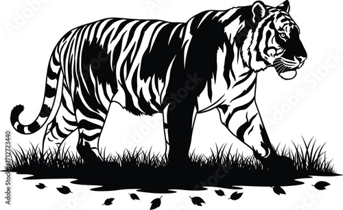 Tiger Walking in Grass Silhouette 2