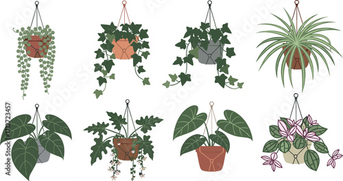 Illustration of eight hanging potted plants on white background on transparent background