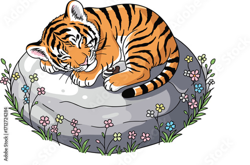 Sleepy Tiger Cub on Rock 2