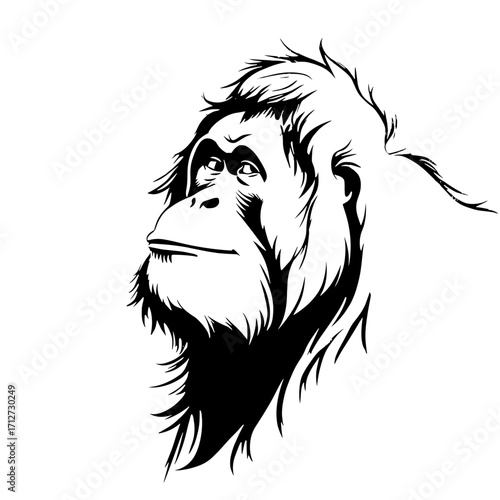 Sumatran Orangutan. Sumatran Orangutan simple black and white line art vector logo