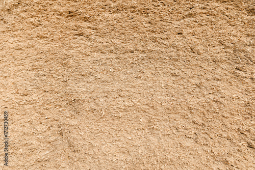 Wallpaper Mural Close-up of silo pit corn texture with subtle shadows Torontodigital.ca