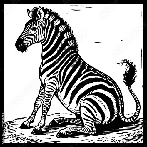 ZEBRA-13.eps