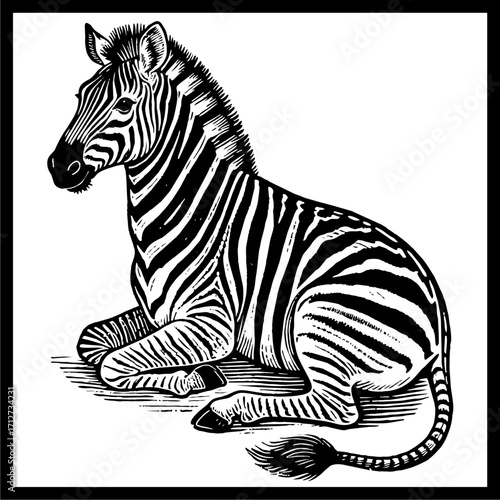 ZEBRA-12.eps