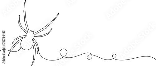 Spider line art for halloween