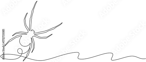 Spider line art for halloween