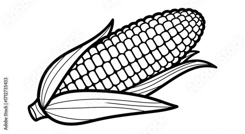 Black and white illustration of a corn cob with detailed leaves.