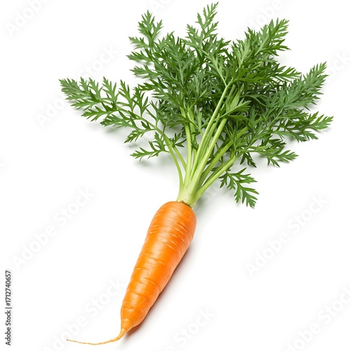 on with white Carrot leaves background vegetable isolated  Salad