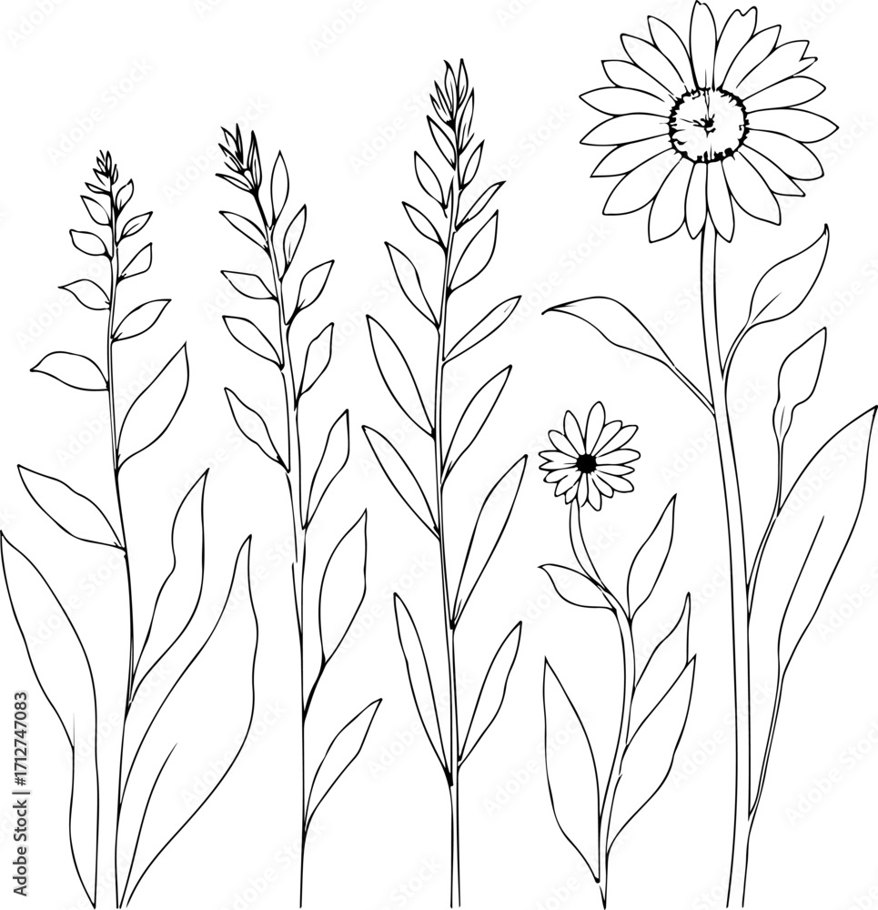 Naklejka premium Minimalist Botanical Line Art of Wildflowers and Herbs – Elegant Floral Outline Illustration