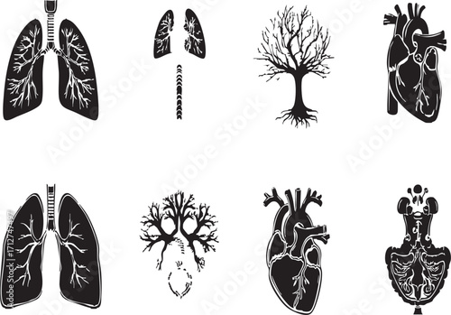 Human organs depicted as trees in a conceptual anatomical illustration art