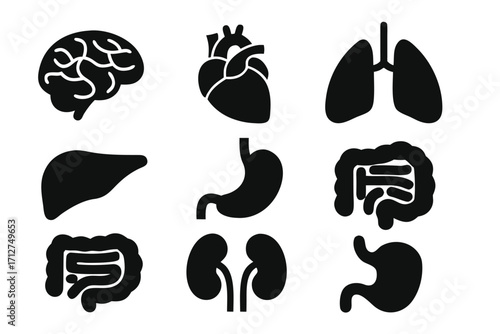 Vector icon collection depicting human organs including brain, heart, lungs, liver, stomach, and kidneys 
