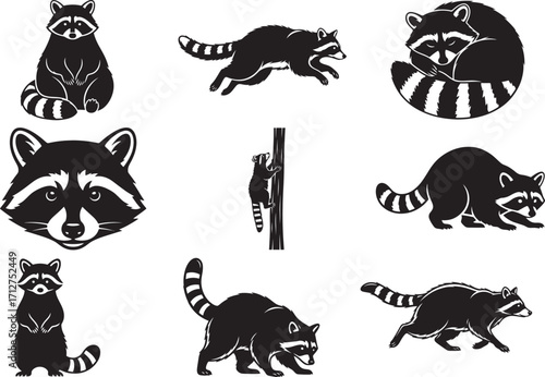 Raccoon Silhouette Vector Pack – 9 Unique Woodland Animal Poses