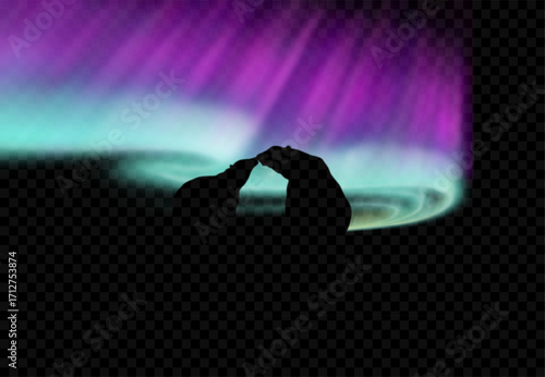 Northern Lights in the sky, silhouette of a polar bear with a cub on a transparent background. Aurora Borealis. Vector illustration.