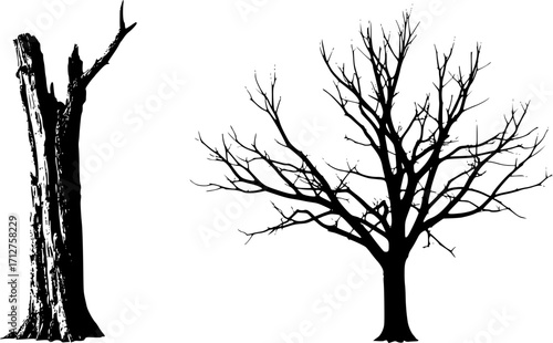 dry tree trunk silhouette, dead tree branch silhouette vector illustration isolated on white background
