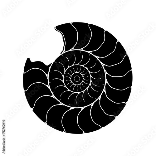 black ammonite shell spiral design on white clip art preview