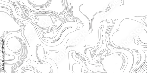 Black outlines on a white background create an abstract design with swirling, fluid shapes, offering a modern, minimalist aesthetic with elegant, organic curves and intricate lines