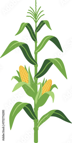 A vibrant pixel art illustration depicting a corn plant with two ears of corn,