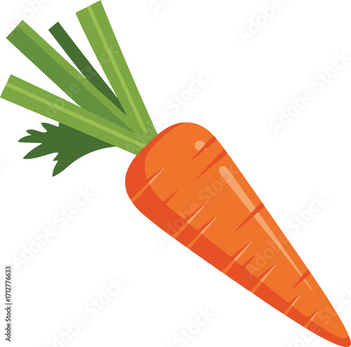 A digital illustration depicting a single orange carrot with green leafy top,