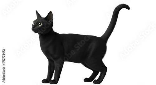 Tableau sur toile Isolated Black Cat in Full Length with Upright Tail and Glowing Eyes, Side View
