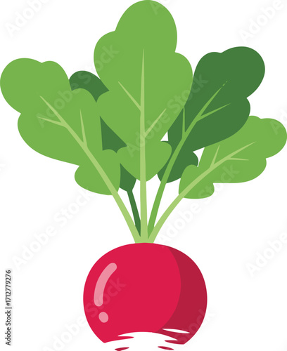 A vibrant illustration of a radish, rendered in a pixel art style. The deep red root contrasts beautifully with the bright green leaves, creating a fresh and appealing visual.